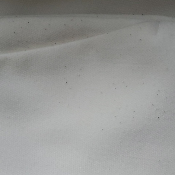 ๐ HOST PICK ๐ Sandra Angelozzi Ankle Pants - Picture 14 of 14